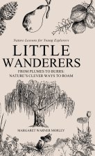 Little Wanderers