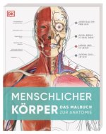 Menschlicher Körper
