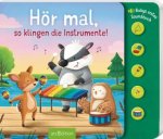 Hör mal, so klingen die Instrumente!