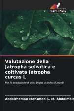 Valutazione della Jatropha selvatica e coltivata Jatropha curcas L