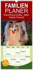 Familienplaner 2027 - Traumhund Collie - Mein bester Freund mit 5 Spalten (Wandkalender, 21 x 45 cm) CALVENDO