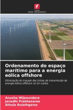Ordenamento do espaço marítimo para a energia eólica offshore
