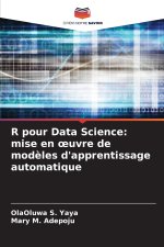 R pour Data Science