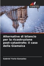 Alternative di bilancio per la ricostruzione post-catastrofe