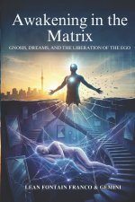 Awakening in the Matrix