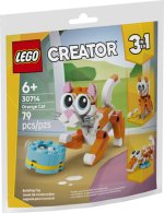 LEGO® Recruitment bags 30714 Oranžová kočka