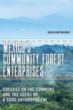 Mexico`s Community Forest Enterprises – Success on the Commons and the Seeds of a Good Anthropocene