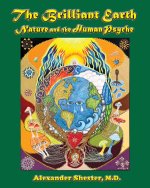 The Brilliant Earth