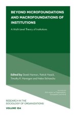 Beyond Microfoundations and Macrofoundations of – A Multi–Level Theory of Institutions