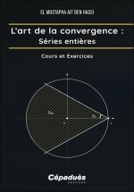 L’art de la convergence : Séries Entières