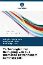 Technologien zur Reinigung von aus Biomasse gewonnenem Synthesegas