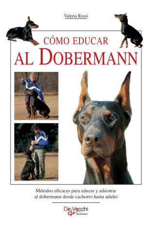 Cómo educar al dobermann
