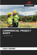 COMMERCIAL PROJECT AUDIT