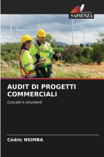 AUDIT DI PROGETTI COMMERCIALI