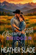 Roaring Fork Bridger