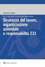 Sicurezza del lavoro, organizzazione aziendale e responsabilità 231