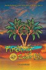 THE SOBER LIFE A Practical Guide to Getting Sober, Staying Sober, and Building a Life That Works