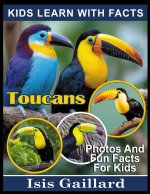 Toucans