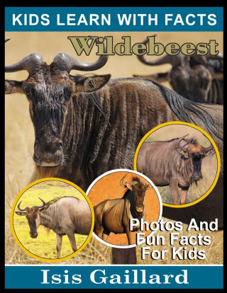 Wildebeest