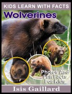 Wolverines