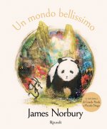 mondo bellissimo