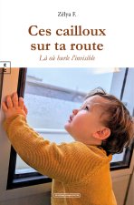 CES CAILLOUX SUR TA ROUTE : LA OU HURLE L'INVISIBLE