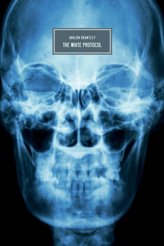 The White Protocol