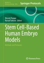 Stem Cell-Based Human Embryo Models