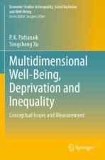Multidimensional Well-Being, Deprivation and Inequality