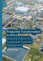Productive Transformation in Africa