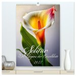 Solitär: Die Eleganz der Einzelblüte (hochwertiger Premium Wandkalender 2027 DIN A2 hoch), Kunstdruck in Hochglanz