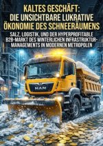 Kaltes Geschäft: Die unsichtbare lukrative Ökonomie des Schneeräumens