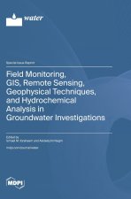 Field Monitoring, GIS, Remote Sensing, Geophysical Techniques, and Hydrochemical Analysis in Groundwater Investigations