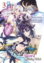 Reincarnated as a Sword: Another Wish 3