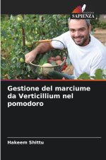 Gestione del marciume da Verticillium nel pomodoro