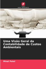 Uma Visão Geral da Contabilidade de Custos Ambientais