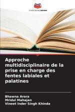 Approche multidisciplinaire de la prise en charge des fentes labiales et palatines