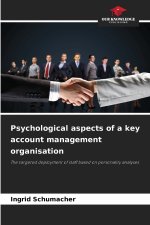 Psychological aspects of a key account management organisation