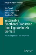 Sustainable Bioethanol Production from Lignocellulosic Biomass