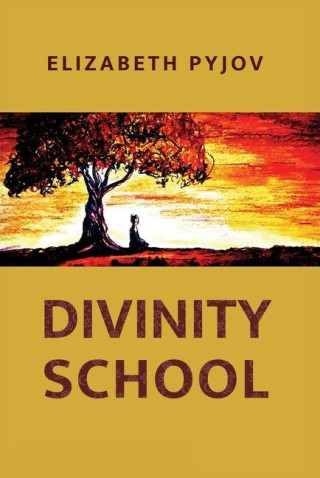 DIVINITY SCHOOL