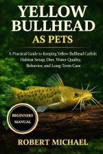 YELLOW BULLHEAD AS PETS