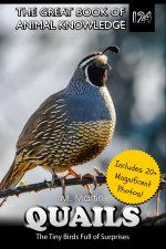 Quail