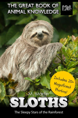 Sloths