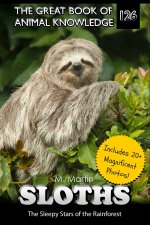 Sloths