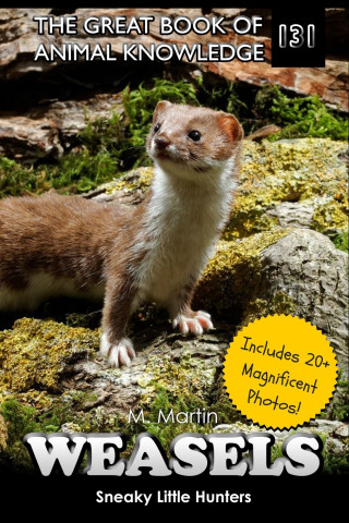 Weasels