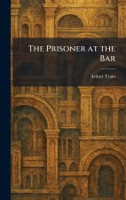 The Prisoner at the Bar