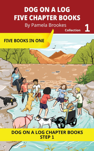 FIVE CHAPTER BOOKS 1