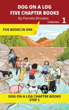 FIVE CHAPTER BOOKS 1