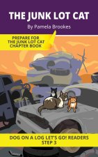 The Junk Lot Cat