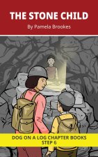 The Stone Child Chapter Book